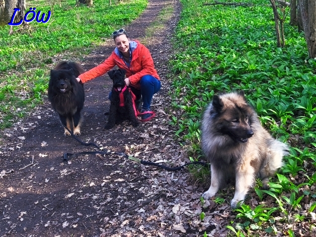 25.3.2025 - Dwix, Herkules und Howard mit Edina